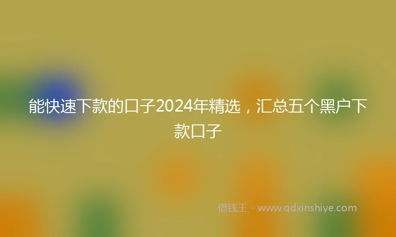 能快速下款的口子2024年精选，汇总五个黑户下款口子