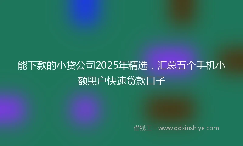 能下款的小贷公司2025年精选，汇总五个手机小额黑户快速贷款口子