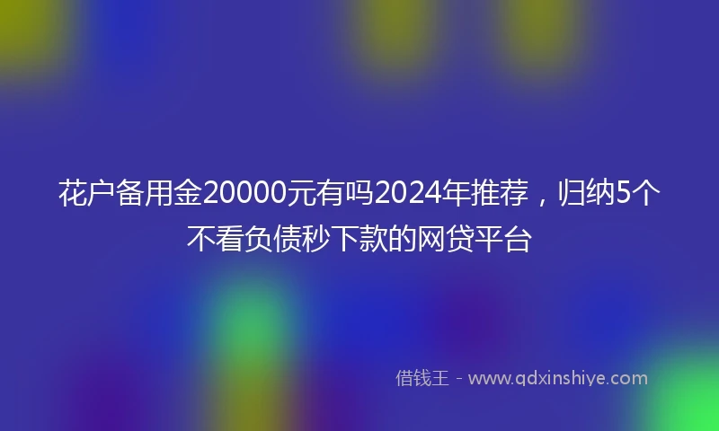 花户备用金20000元有吗2024年推荐，归纳5个不看负债秒下款的网贷平台