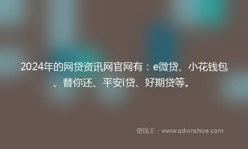 2024年的网贷资讯网官网有：e微贷、小花钱包、替你还、平安i贷、好期贷等。