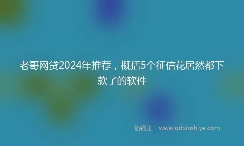 老哥网贷2024年推荐，概括5个征信花居然都下款了的软件