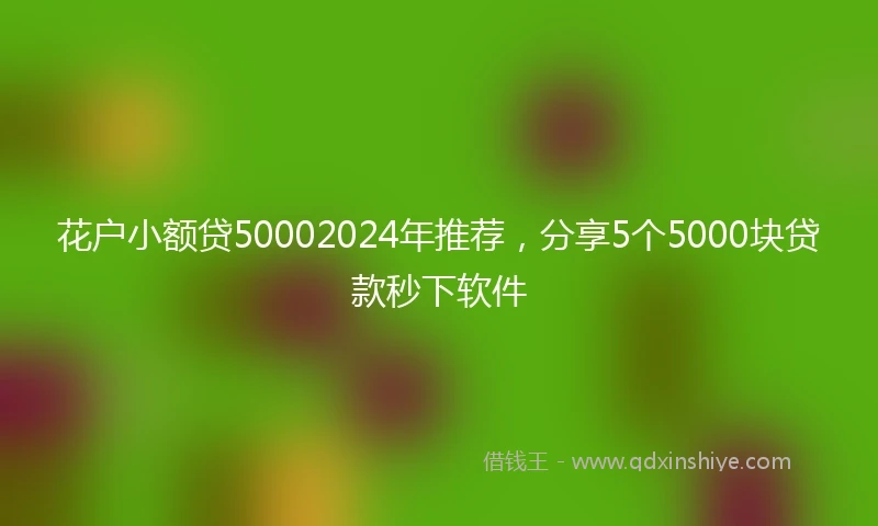 花户小额贷50002024年推荐，分享5个5000块贷款秒下软件
