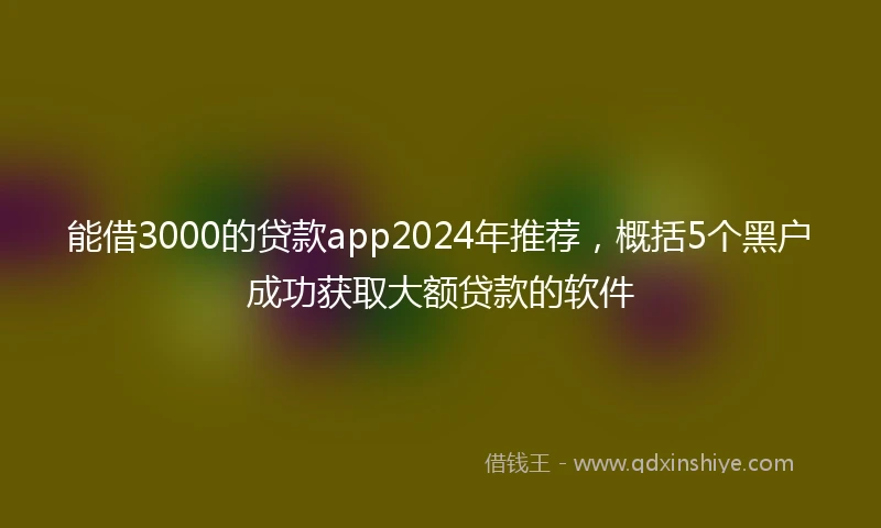 能借3000的贷款app2024年推荐，概括5个黑户成功获取大额贷款的软件