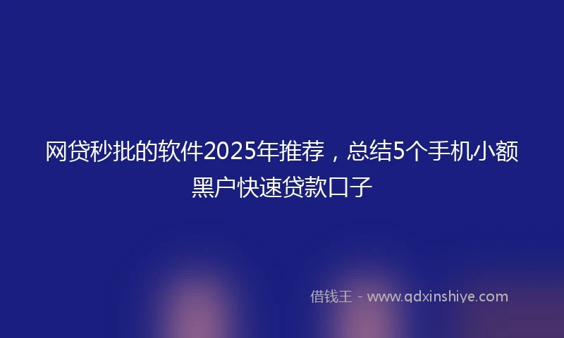 网贷秒批的软件2025年推荐，总结5个手机小额黑户快速贷款口子