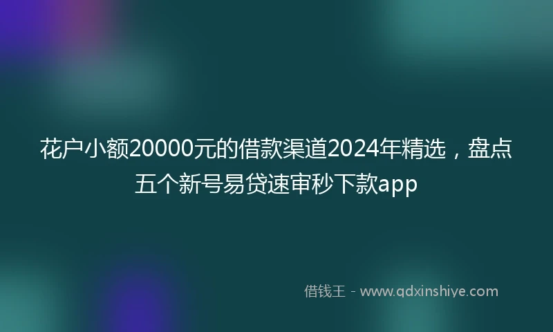花户小额20000元的借款渠道2024年精选,盘点五个新号易贷速审秒下款app