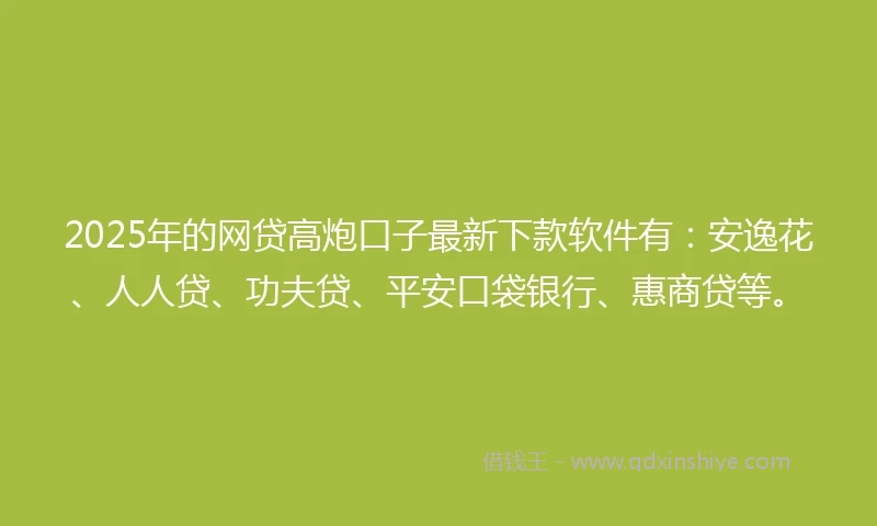 2025年的网贷高炮口子最新下款软件有：安逸花、人人贷、功夫贷、平安口袋银行、惠商贷等。
