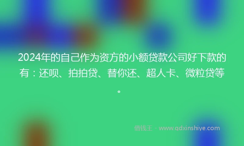 2024年的自己作为资方的小额贷款公司好下款的有：还呗、拍拍贷、替你还、超人卡、微粒贷等。