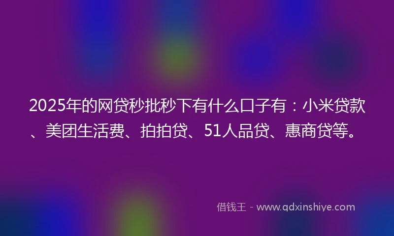 2025年的网贷秒批秒下有什么口子有：小米贷款、美团生活费、拍拍贷、51人品贷、惠商贷等。