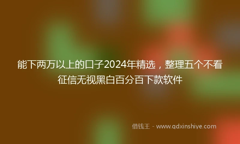 能下两万以上的口子2024年精选，整理五个不看征信无视黑白百分百下款软件
