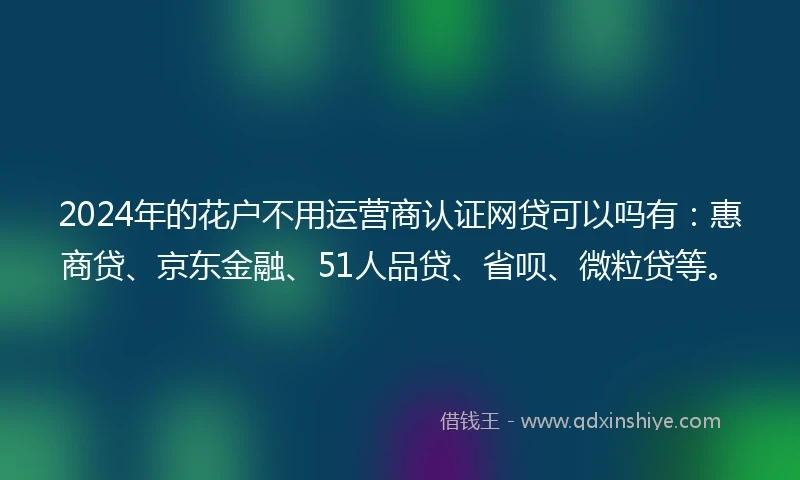 2024年的花户不用运营商认证网贷可以吗有：惠商贷、京东金融、51人品贷、省呗、微粒贷等。