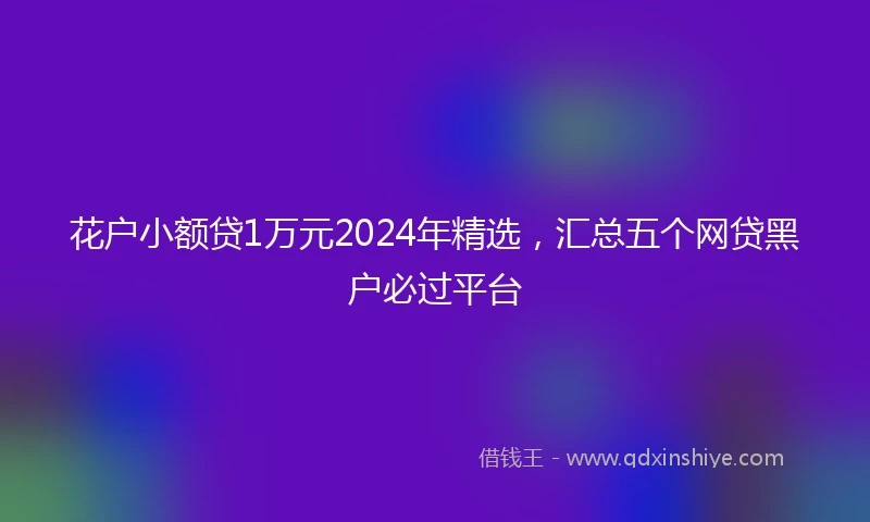 花户小额贷1万元2024年精选，汇总五个网贷黑户必过平台