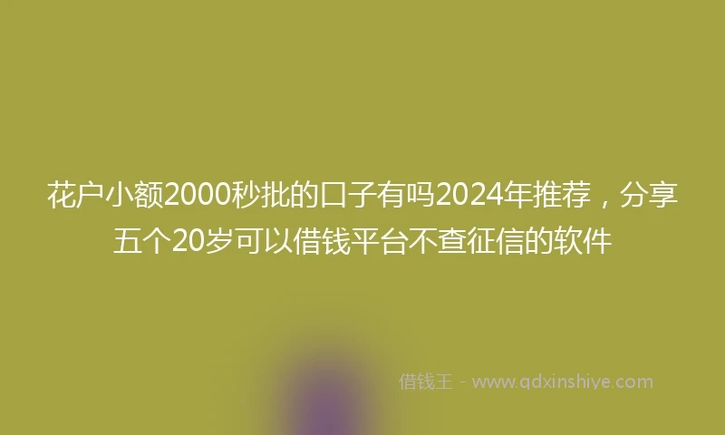 花户小额2000秒批的口子有吗2024年推荐,分享五个20岁可以借钱平台不查征信的软件