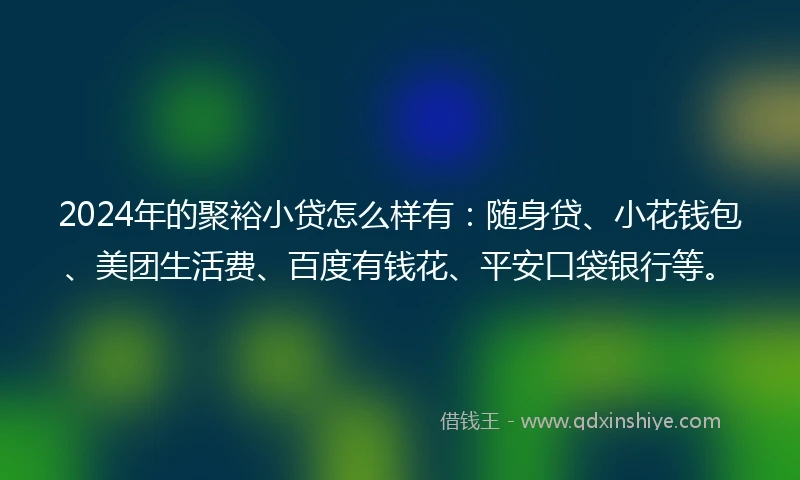 2024年的聚裕小贷怎么样有：随身贷、小花钱包、美团生活费、百度有钱花、平安口袋银行等。