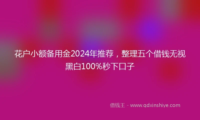 花户小额备用金2024年推荐，整理五个借钱无视黑白100%秒下口子
