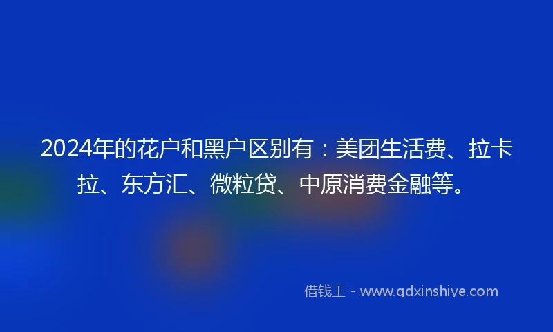 2024年的花户和黑户区别有：美团生活费、拉卡拉、东方汇、微粒贷、中原消费金融等。