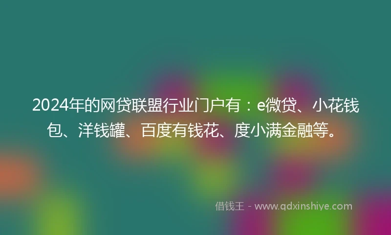 2024年的网贷联盟行业门户有：e微贷、小花钱包、洋钱罐、百度有钱花、度小满金融等。