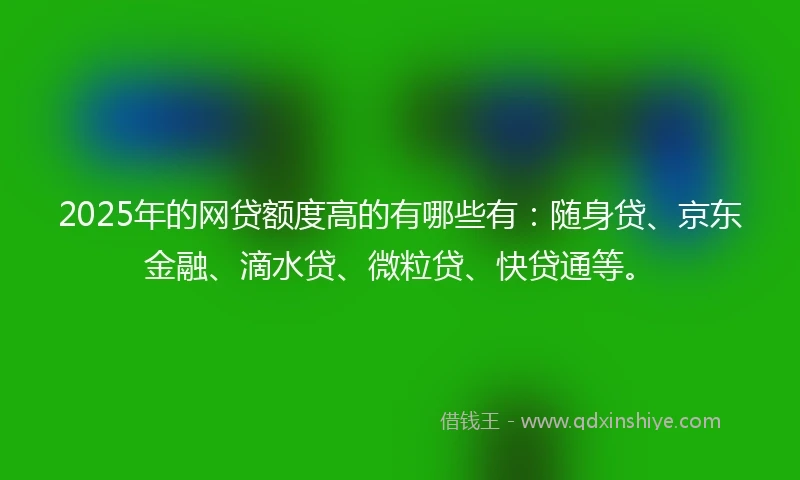 2025年的网贷额度高的有哪些有：随身贷、京东金融、滴水贷、微粒贷、快贷通等。