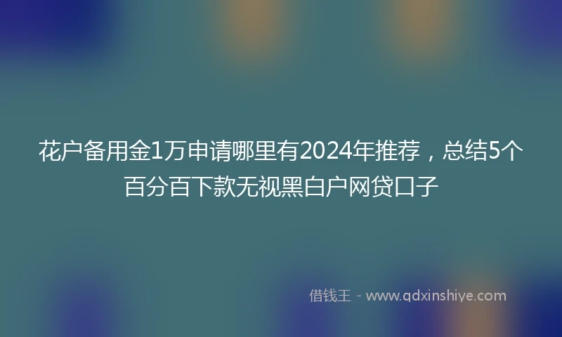 花户备用金1万申请哪里有2024年推荐，总结5个百分百下款无视黑白户网贷口子