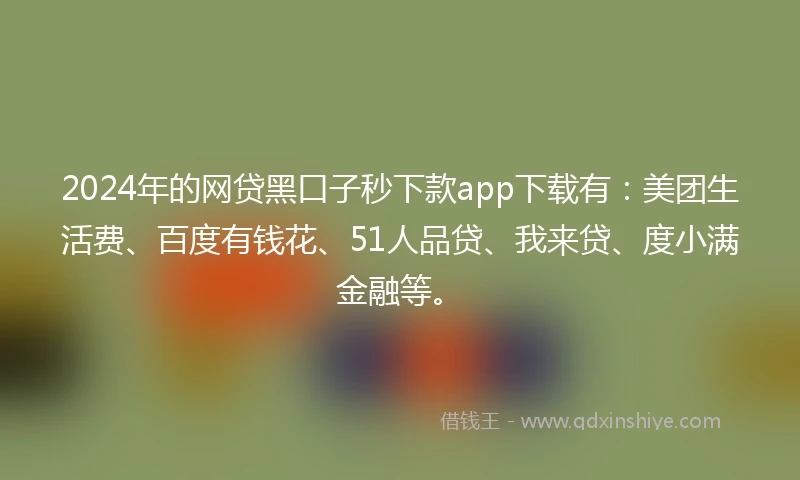 2024年的网贷黑口子秒下款app下载有：美团生活费、百度有钱花、51人品贷、我来贷、度小满金融等。