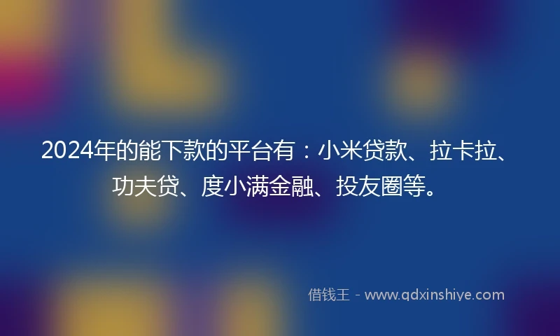 2024年的能下款的平台有：小米贷款、拉卡拉、功夫贷、度小满金融、投友圈等。