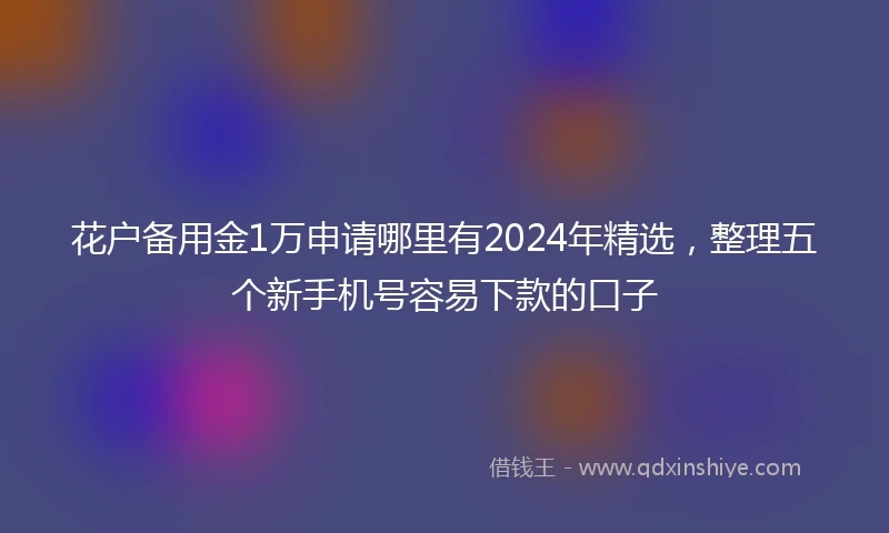 花户备用金1万申请哪里有2024年精选，整理五个新手机号容易下款的口子