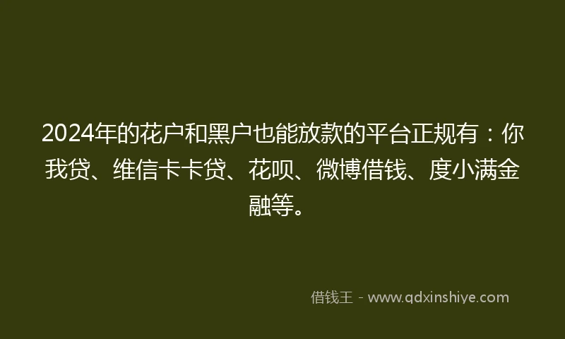 2024年的花户和黑户也能放款的平台正规有：你我贷、维信卡卡贷、花呗、微博借钱、度小满金融等。