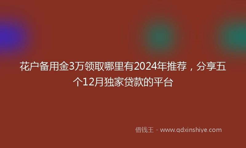 花户备用金3万领取哪里有2024年推荐，分享五个12月独家贷款的平台