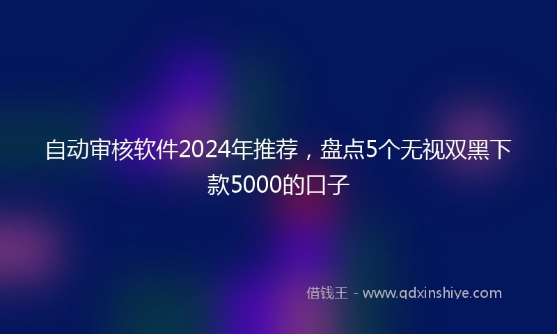 自动审核软件2024年推荐，盘点5个无视双黑下款5000的口子