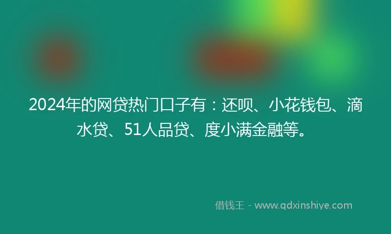 2024年的网贷热门口子有：还呗、小花钱包、滴水贷、51人品贷、度小满金融等。