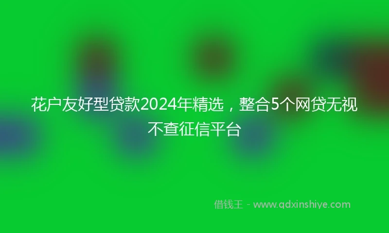 花户友好型贷款2024年精选，整合5个网贷无视不查征信平台