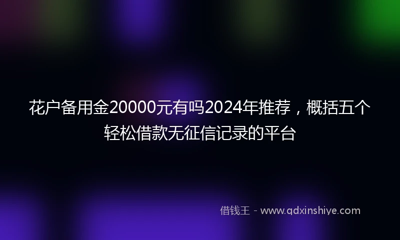 花户备用金20000元有吗2024年推荐，概括五个轻松借款无征信记录的平台