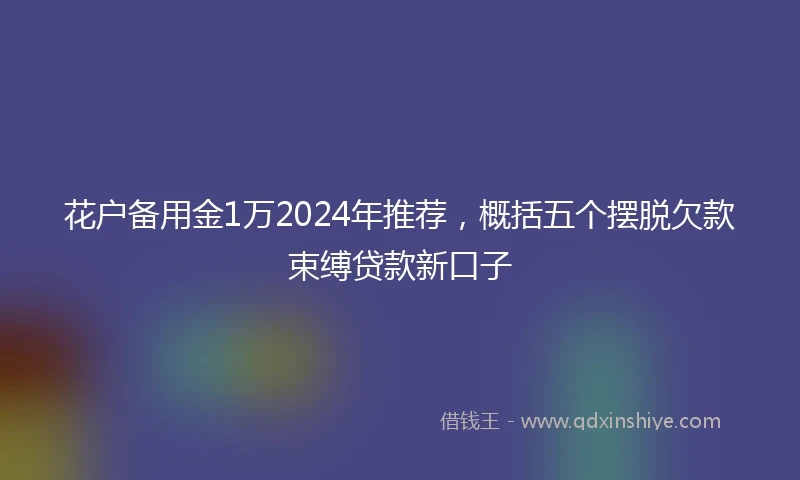花户备用金1万2024年推荐，概括五个摆脱欠款束缚贷款新口子
