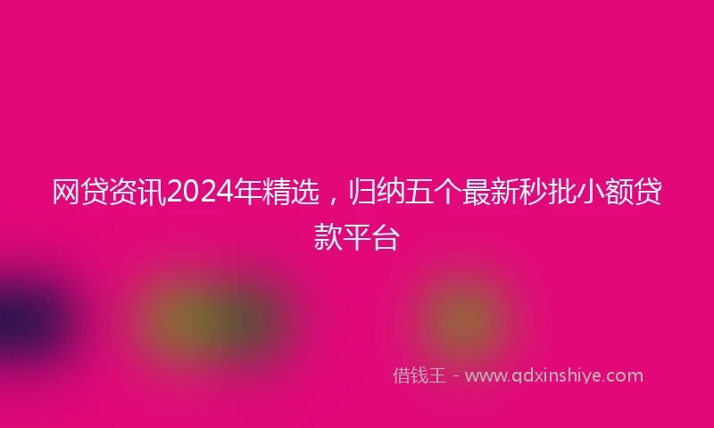 网贷资讯2024年精选，归纳五个最新秒批小额贷款平台