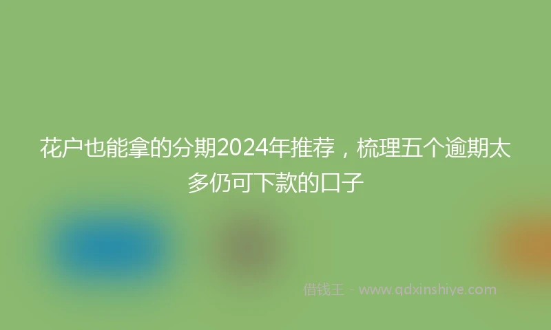 花户也能拿的分期2024年推荐，梳理五个逾期太多仍可下款的口子