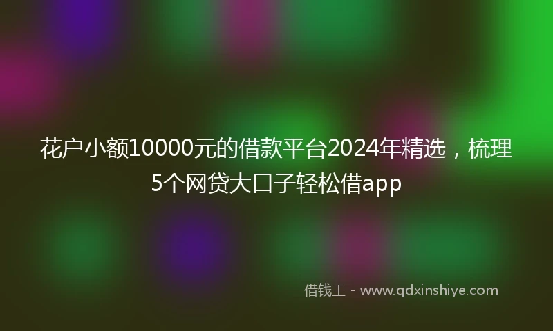 花户小额10000元的借款平台2024年精选，梳理5个网贷大口子轻松借app