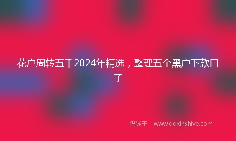 花户周转五千2024年精选，整理五个黑户下款口子