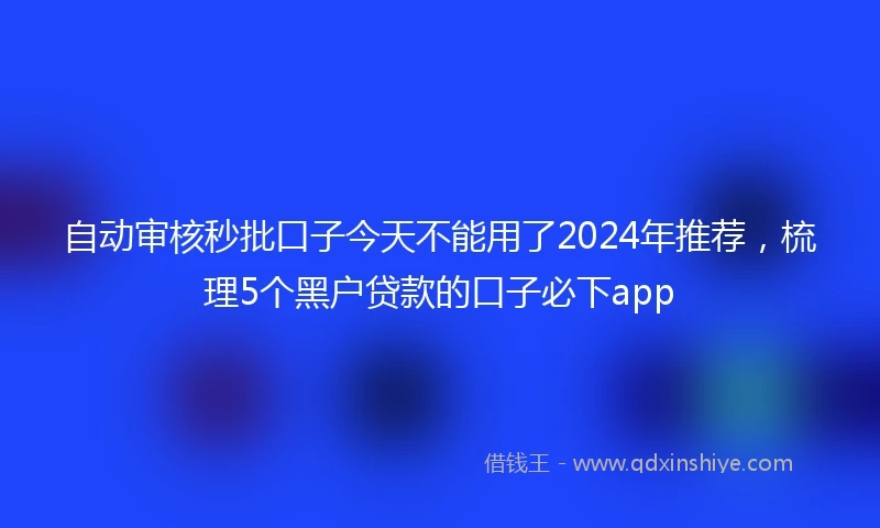 自动审核秒批口子今天不能用了2024年推荐，梳理5个黑户贷款的口子必下app