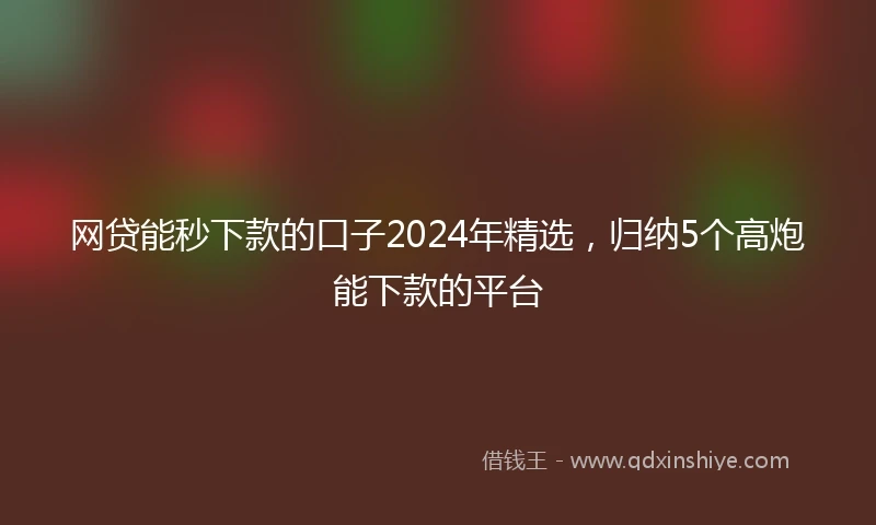 网贷能秒下款的口子2024年精选，归纳5个高炮能下款的平台