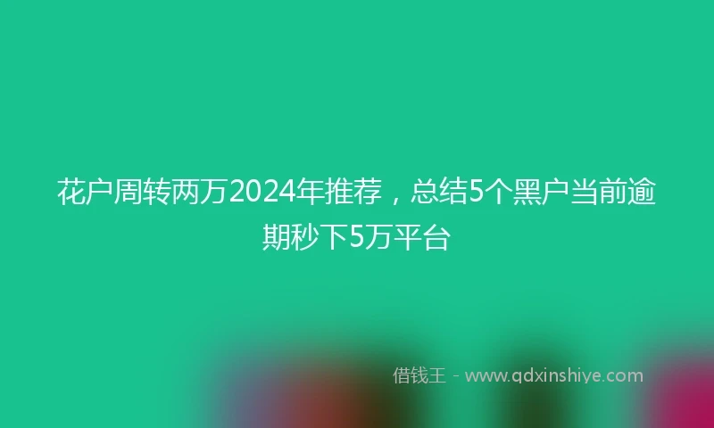 花户周转两万2024年推荐，总结5个黑户当前逾期秒下5万平台