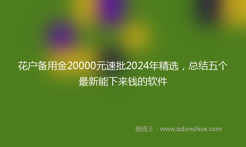 花户备用金20000元速批2024年精选，总结五个最新能下来钱的软件