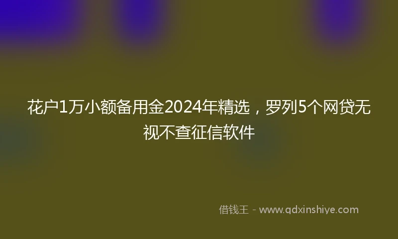 花户1万小额备用金2024年精选，罗列5个网贷无视不查征信软件
