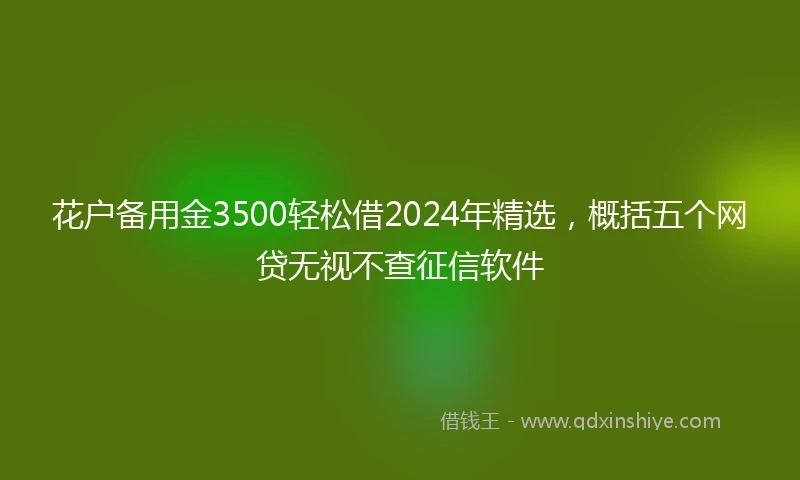 花户备用金3500轻松借2024年精选，概括五个网贷无视不查征信软件