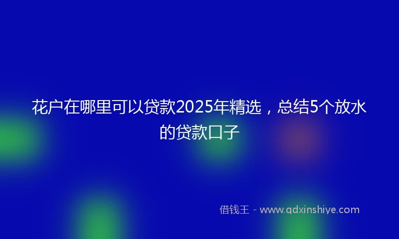 花户在哪里可以贷款2025年精选，总结5个放水的贷款口子