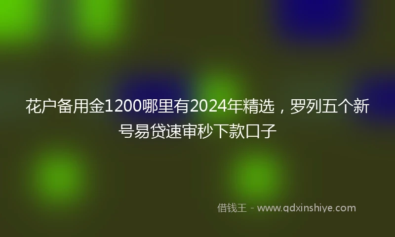 花户备用金1200哪里有2024年精选，罗列五个新号易贷速审秒下款口子
