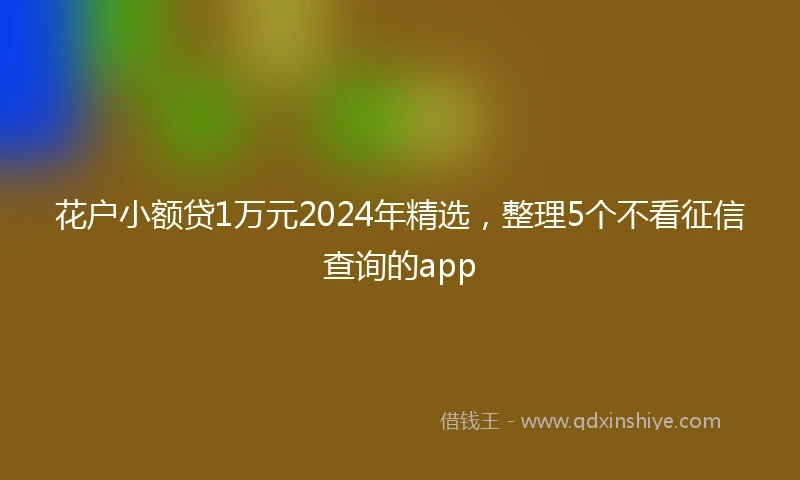 花户小额贷1万元2024年精选，整理5个不看征信查询的app
