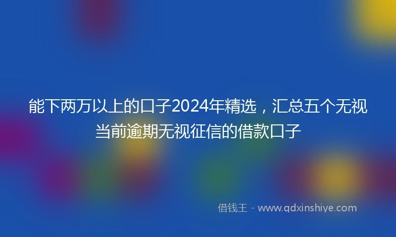 能下两万以上的口子2024年精选，汇总五个无视当前逾期无视征信的借款口子