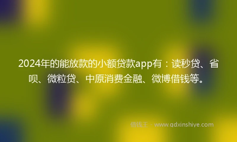 2024年的能放款的小额贷款app有：读秒贷、省呗、微粒贷、中原消费金融、微博借钱等。