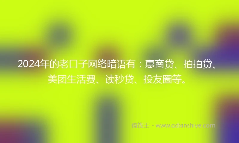 2024年的老口子网络暗语有：惠商贷、拍拍贷、美团生活费、读秒贷、投友圈等。