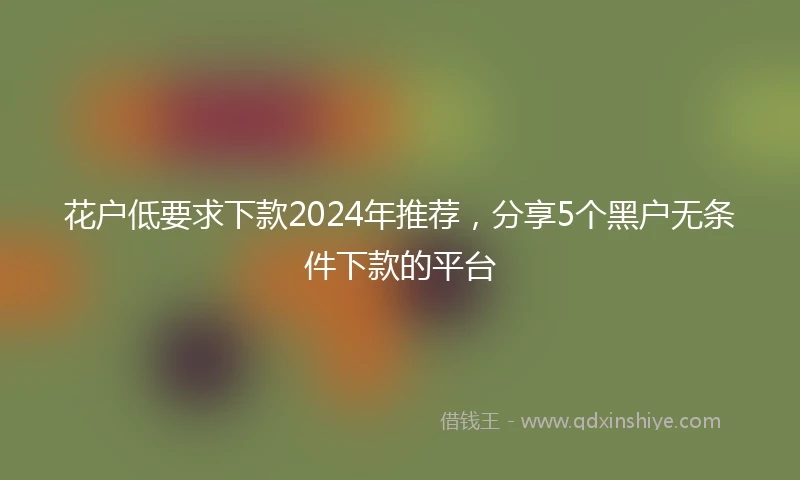 花户低要求下款2024年推荐，分享5个黑户无条件下款的平台