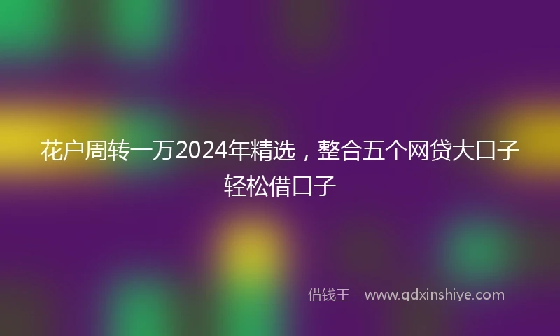 花户周转一万2024年精选，整合五个网贷大口子轻松借口子